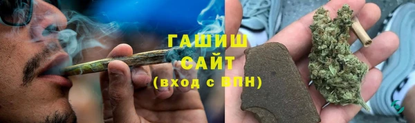 прущие грибы Бугульма