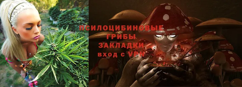 сколько стоит  Усолье-Сибирское  кракен tor  Галлюциногенные грибы MAGIC MUSHROOMS 